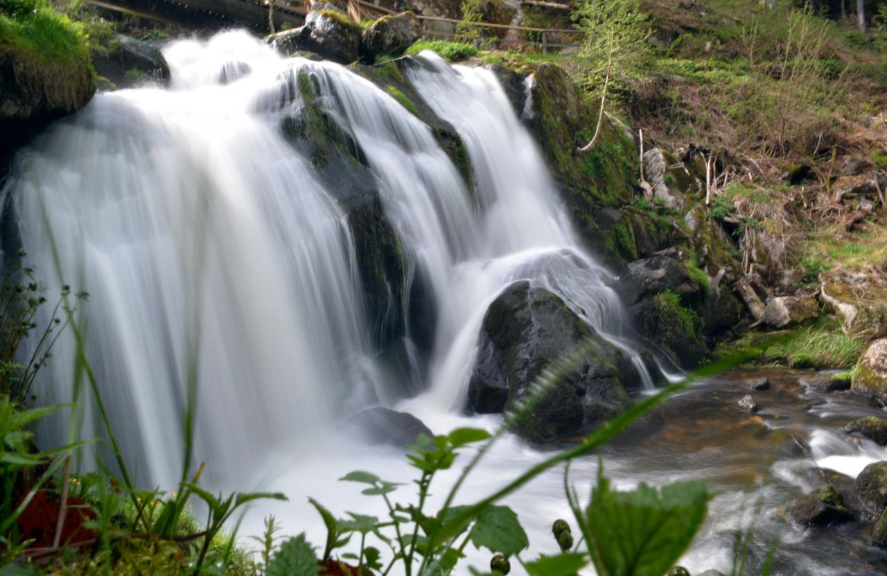 Cascade de Triberg