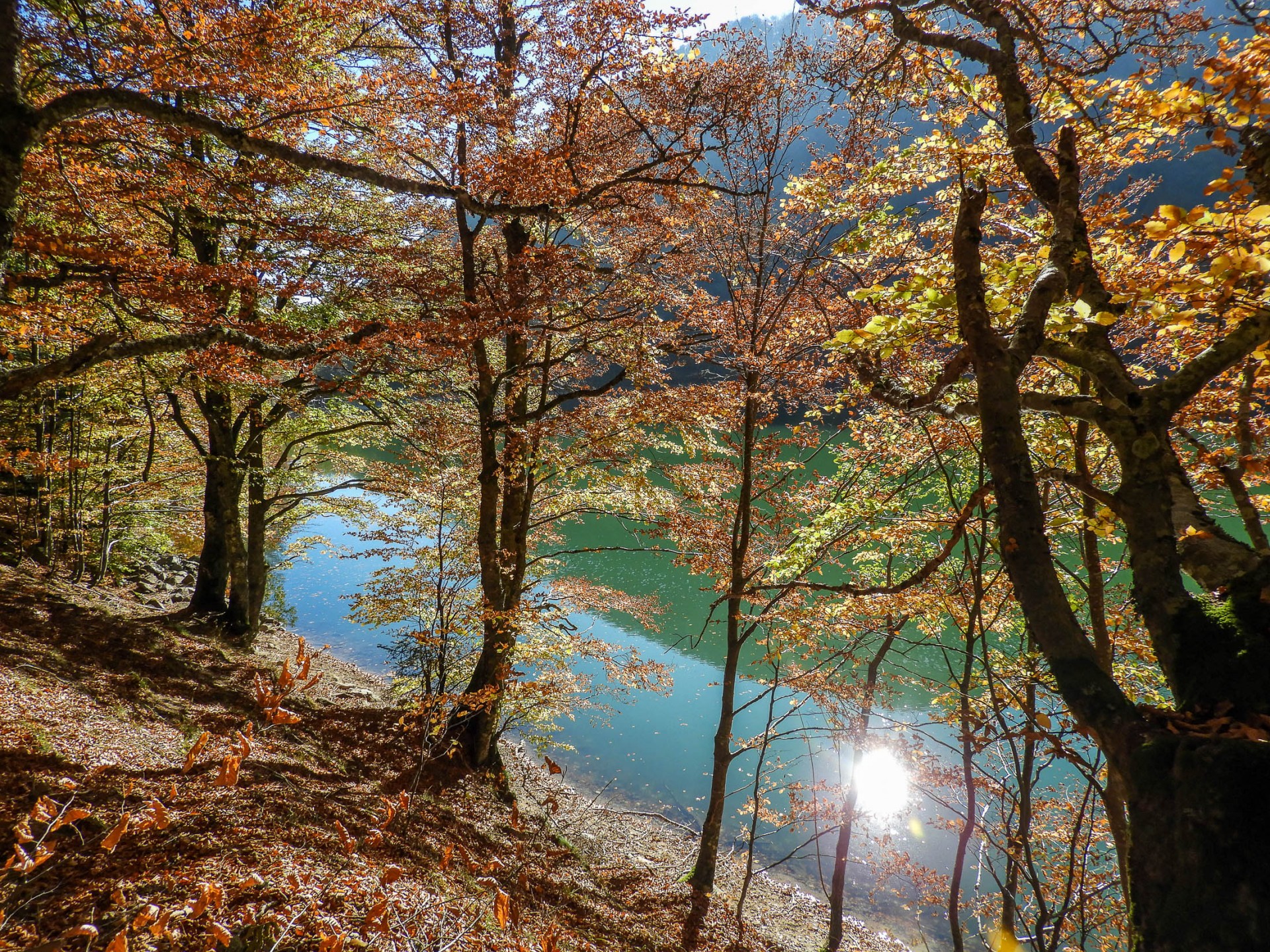 Lac des Perches 01