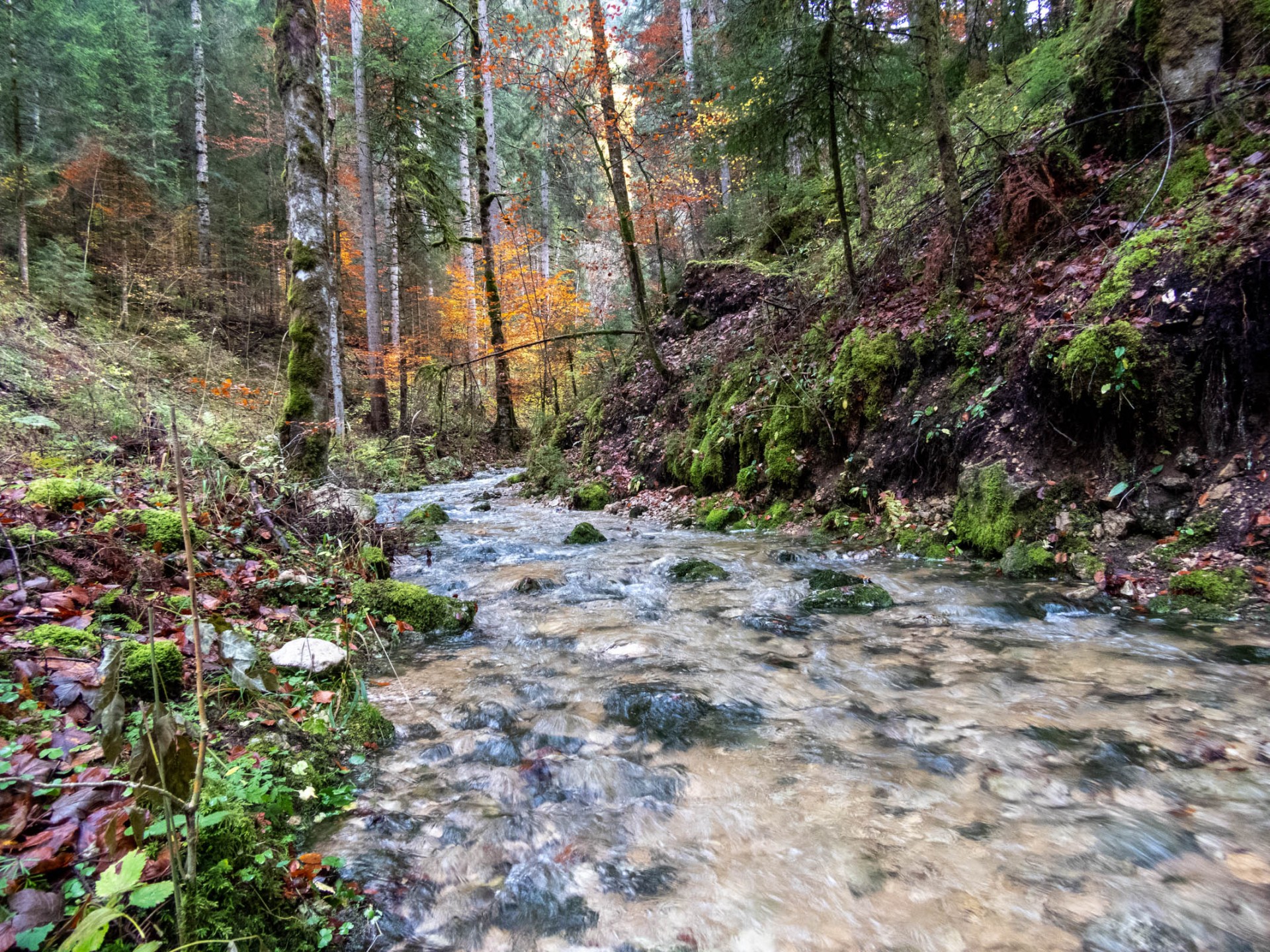 Haut Doubs 01